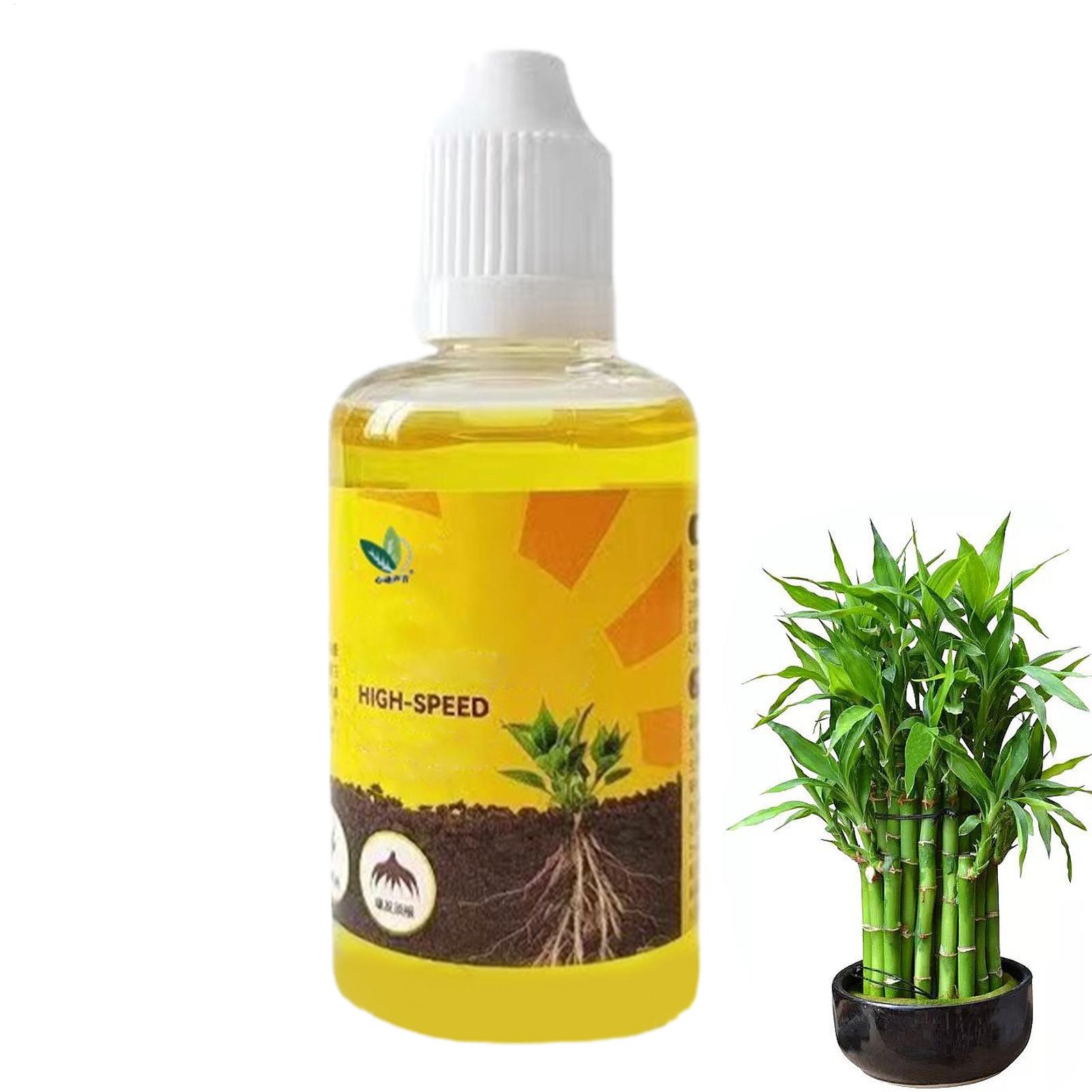 Root Stimulator Liquid - Cairan Pemicu Pertumbuhan Akar Tanaman, Cairan