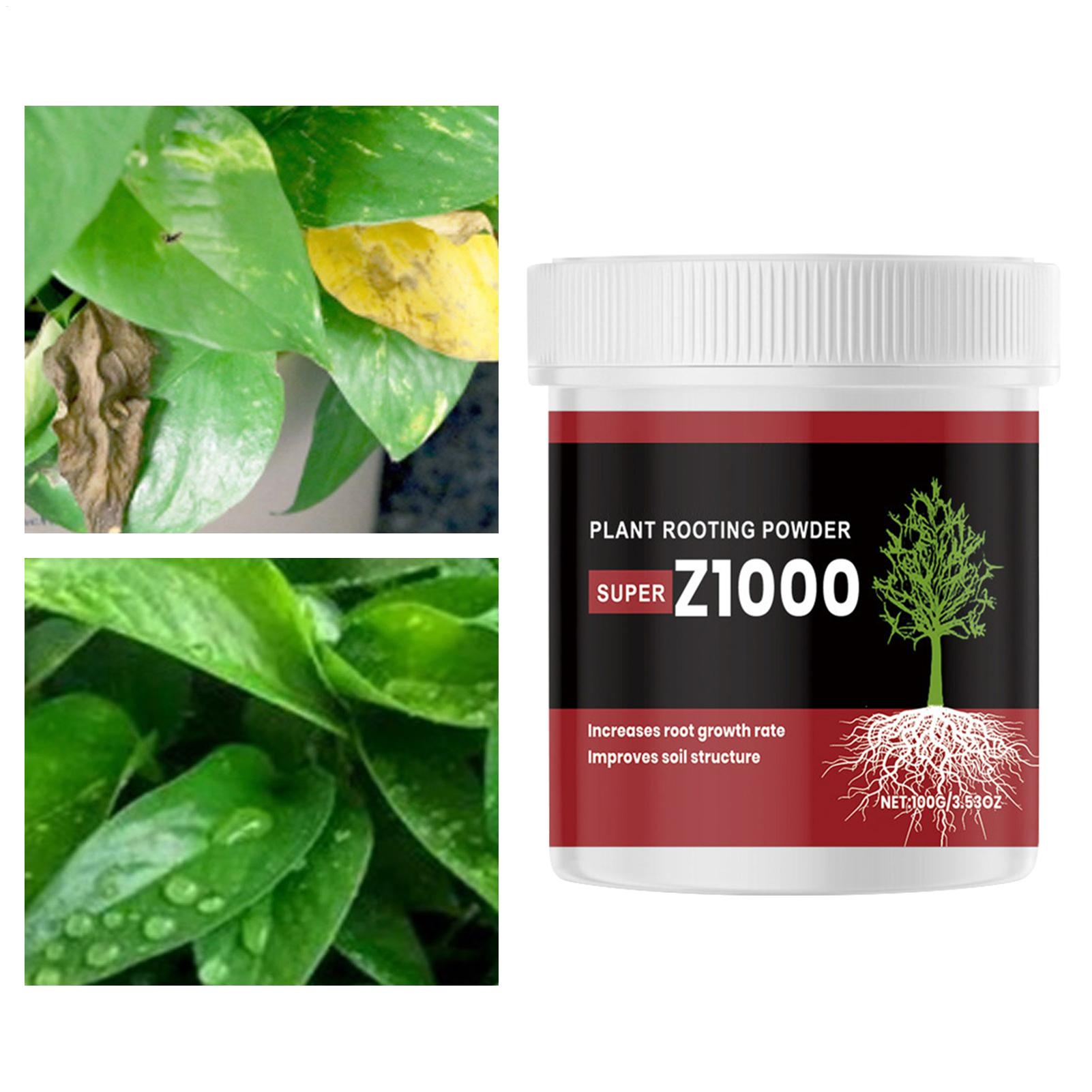 Bubuk Hormon Pemacu Pertumbuha - Root Stimulator Liquid ulasan dan harga