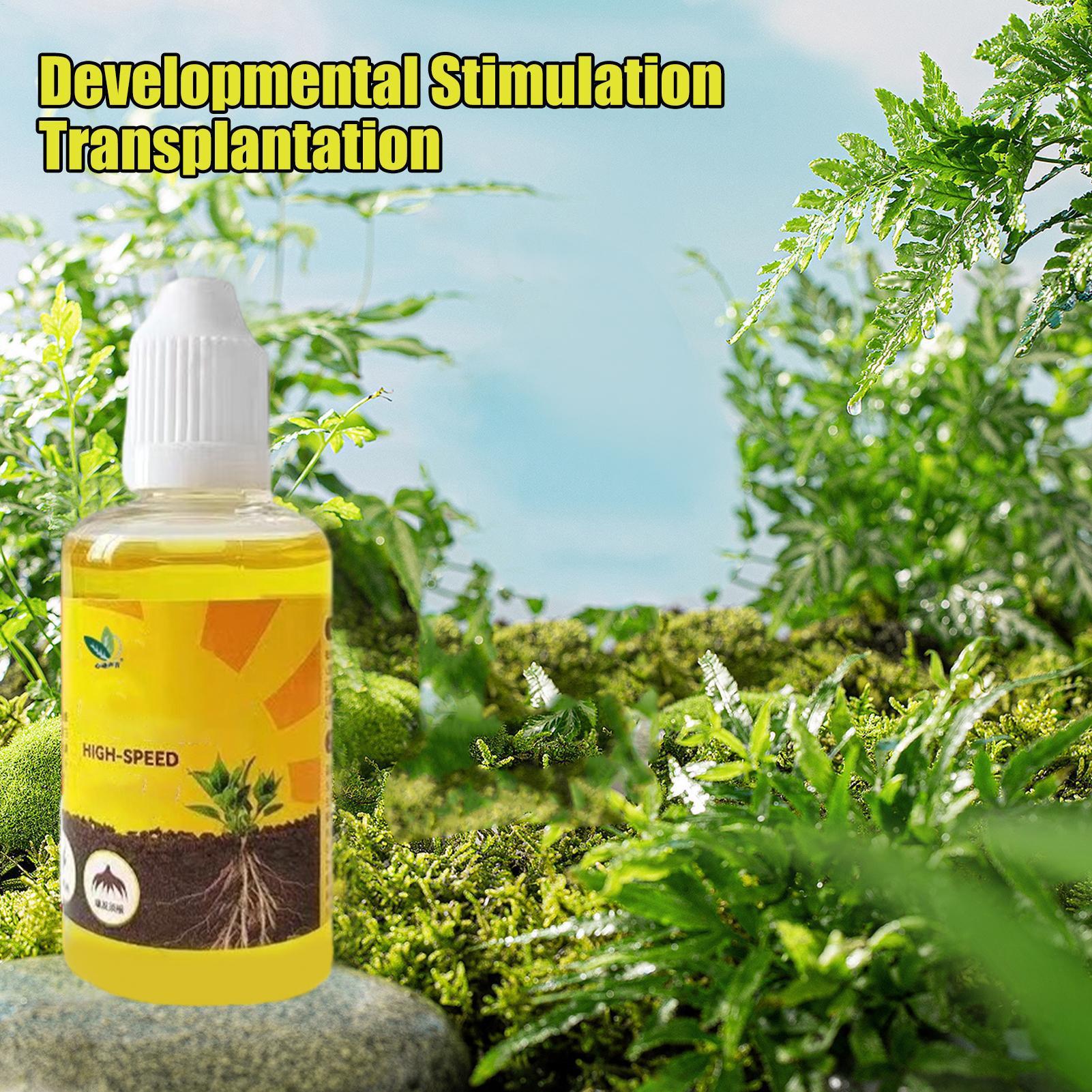 Cairan Pemicu Pertumbuhan Akar - Root Stimulator Liquid ulasan dan harga