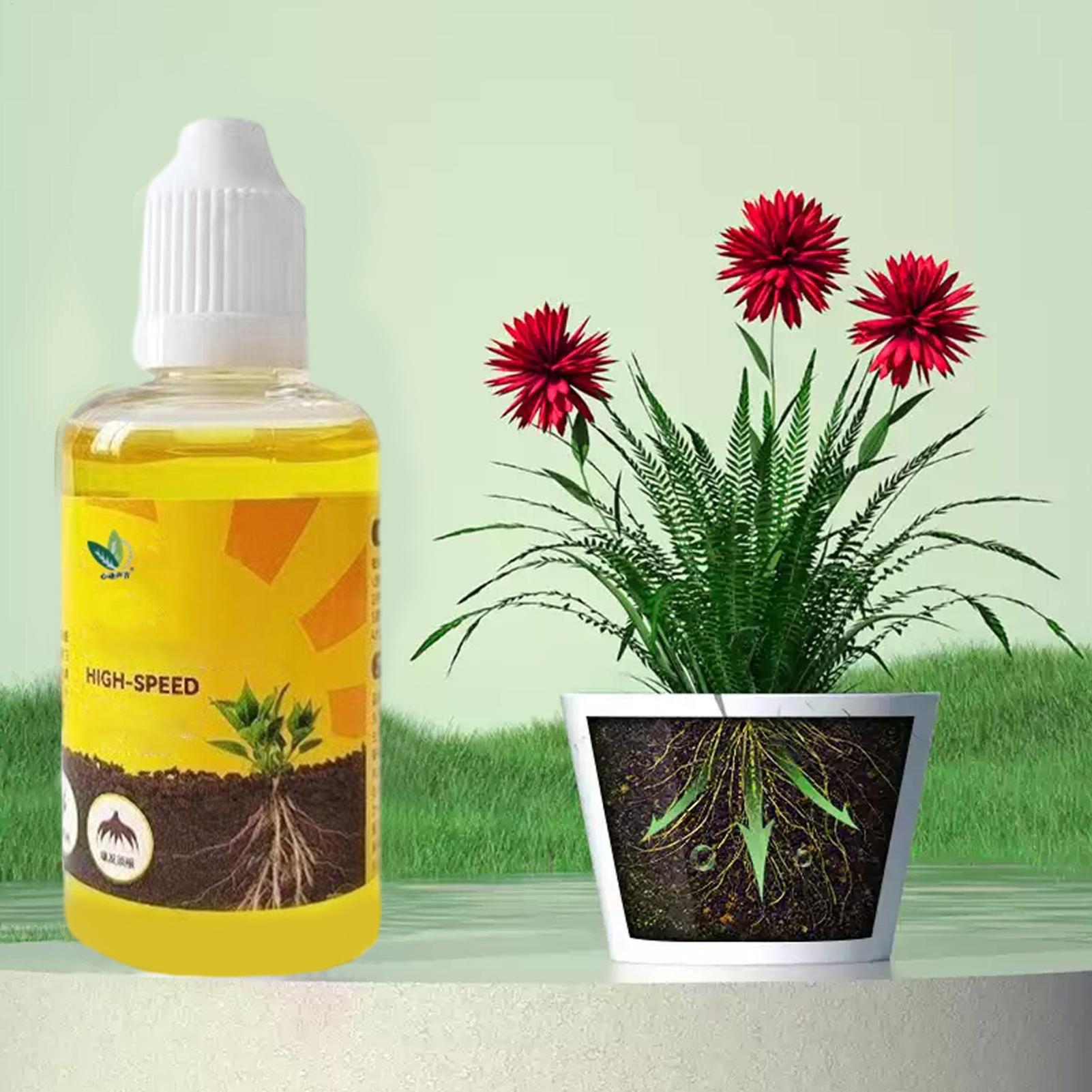 Cairan Pemicu Pertumbuhan Akar - Root Stimulator Liquid ulasan dan harga