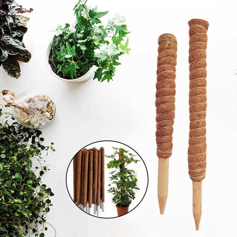Tiang Totem Sabut Kelapa 30/40 - Sphagnum Moss Dry ulasan dan harga